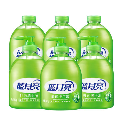 蓝月亮 洗手液组合：芦荟洗手液500g×6 商品图0