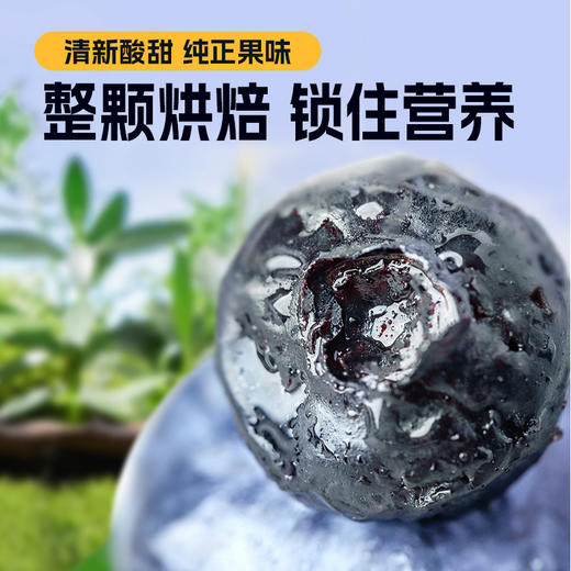 【颗颗饱满！蓝莓干蜜饯】甄选优质原料，整颗轻烘，保留鲜果风味营养，8斤蓝莓约等于1斤蓝莓干，下午茶休闲零食小吃L 商品图1