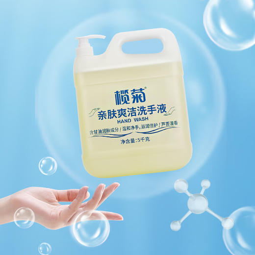榄菊洗手液大桶装5kg带泵头补充装 温和洁净护手不刺激家庭酒店餐厅 商品图3