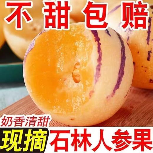 【树上熟黄果】云南石林人参果圆果黄肉爆甜多汁新鲜应季水果小果30-50g中果50-90g大果90-110g果王120g+ 商品图11