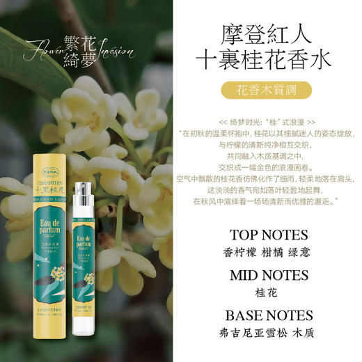 摩登红人正品国货夏季持久香水10ml女生学生便携香氛大牌平替淡香 商品图5