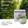 【多肉植物沙画香薰蜡烛】diy创意手工材料包 礼物伴手礼 桌面摆件送老师朋友客户家人 商品缩略图5