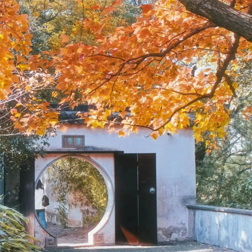 边玩边养老丨漫游苏州，观虎丘明月，探古镇幽巷，沉醉姑苏诗意时光！ 商品图1