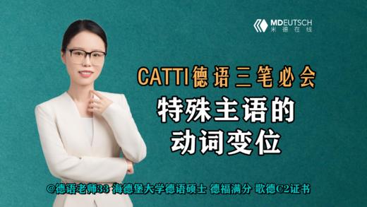 特殊主语的动词变位 商品图0