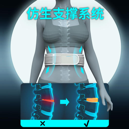 和正护腰HZ-Y10一只装 商品图3