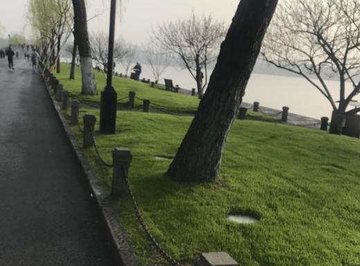 testa测试 商品图0