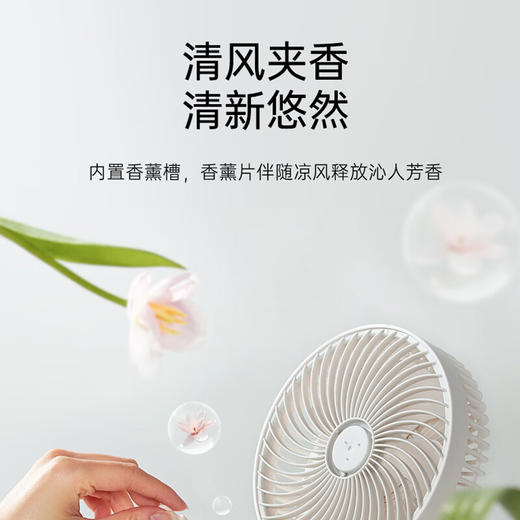 小熊（Bear）风扇电风扇壁扇壁挂风扇挂壁电风扇空气循环扇电扇风扇大风量卧室办公室扇 【壁挂有线款】DFS-T05W1 商品图2