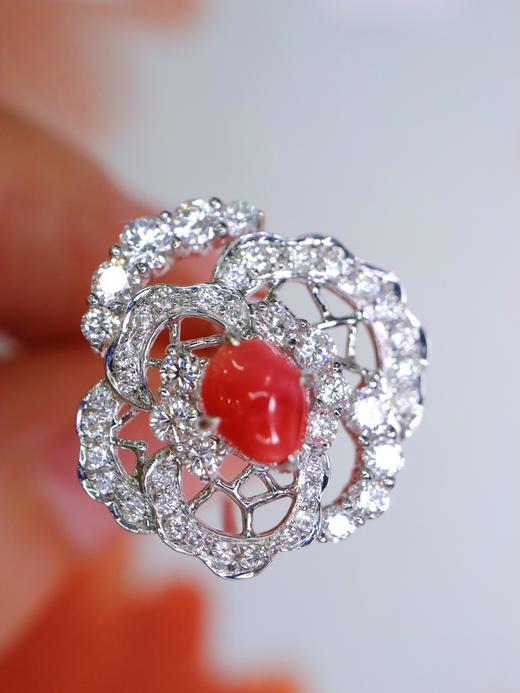 0.98ct 海螺珠耳扣 商品图1