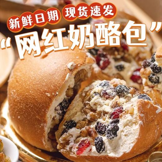 【异域美味！新疆坚果奶酪包】奶酪包届的“天花板”，超多果干精选好料 香浓奶酪 饱满果仁！ 一口巨满足， 商品图0