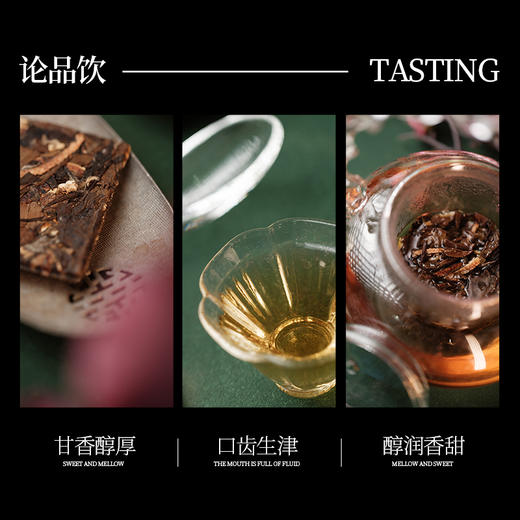 【陈皮白茶】正宗福鼎白茶12年福鼎寿眉5年新会陈皮小方片茶饼盒装150g 商品图4