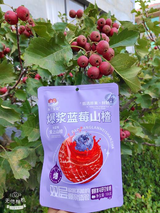 KJ 两个宝贝爆浆山楂 三种口味 106g 商品图5