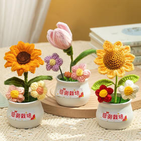 教师节礼物【向日葵花束摆件】送女老师高档贺卡卡片 儿童实用伴手礼品