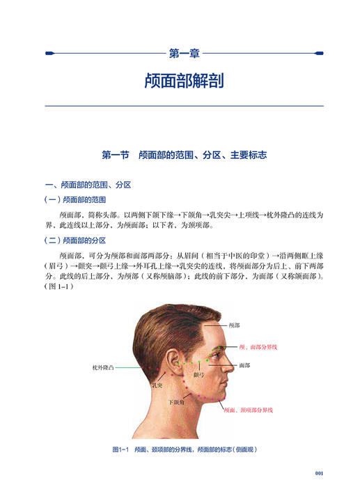 针刀医学应用解剖 第2版 易秉瑛 人体各部位解剖结构 针刀医学临床诊疗实践应用操作指导 中医针灸 人民卫生出版社9787117341714 商品图3