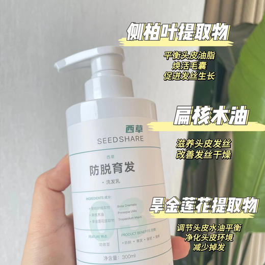 【告别细软塌，头发更丰盈！】YUKILABO之研 洗发水系列  生姜蓬松330ml+薄荷去屑300ml+西草防脱300ml 植物配方，防脱固发，持久控油，去屑止痒，强韧发丝 商品图10