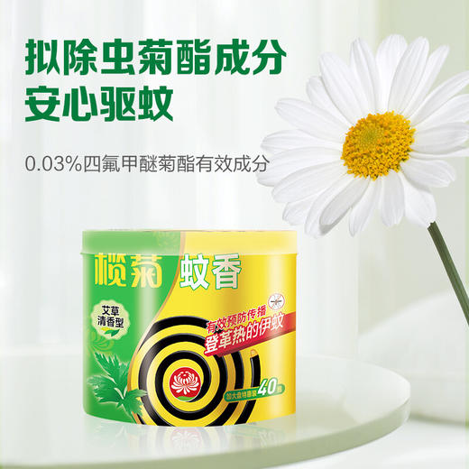 榄菊蚊香加大盘40圈/筒 艾草清香型家用驱蚊黑蚊香盘式灭蚊盘香 商品图2