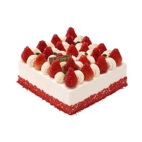 雪山莓果【动物奶油生日蛋糕】
