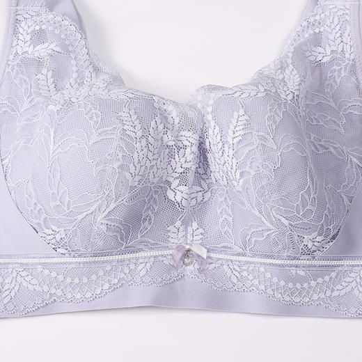 都市丽人内衣完美包容常规文胸蕾丝超薄文胸3/4杯四排扣无钢圈YBT2S1 商品图5