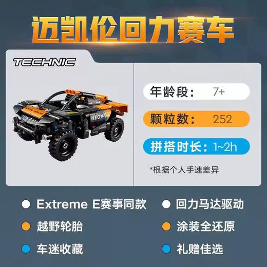 乐高 E赛车42166 商品图2