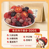 懂果嫲嫲 混合装蜜饯果脯果干500g /袋 西梅杨梅话梅干乌梅条梅子  混合装蜜饯果脯果干 商品缩略图5