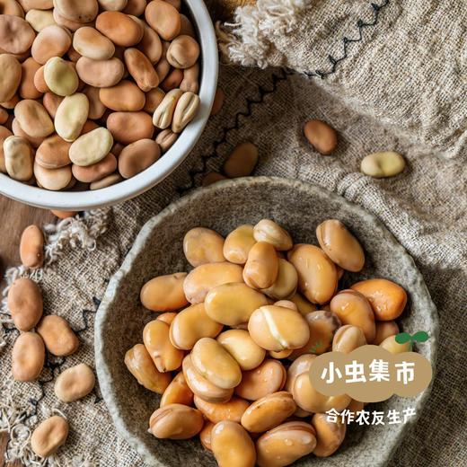 生态干蚕豆 500g/袋 | 合作农友生产，来自云南大理，生产者：谢雪梅 ＆【公平贸易农人定价】 商品图7