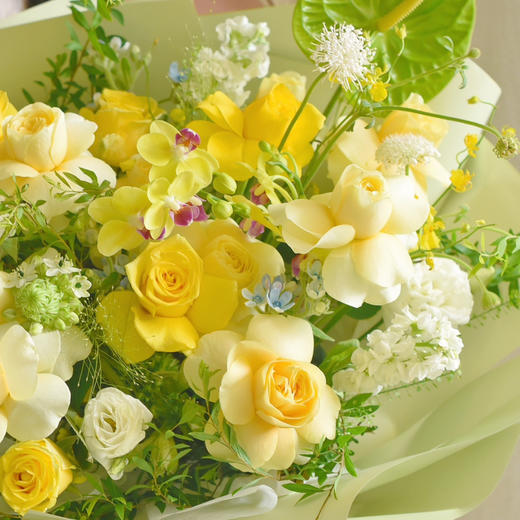 《柠檬薄荷》蝴蝶兰奶油杯绿掌清晰夏日花束 商品图3
