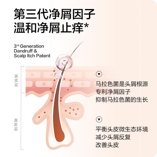 【自营】森之露（Seagilon）清爽去屑洗发水 520ml 商品图1
