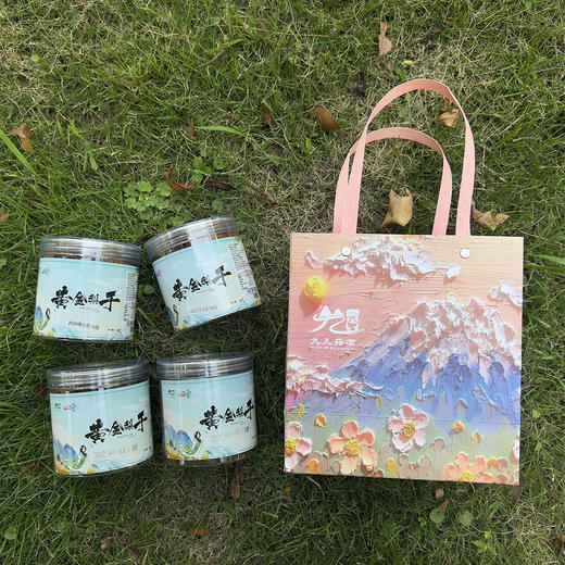 恩施宣恩 九儿菇凉梨干（礼盒装）150g/罐*4 商品图1