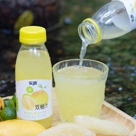 【自营】乐源 双柚汁280g*8瓶 商品图2