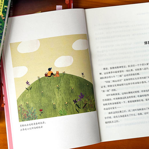 12~17岁 |《正青春阅读文丛》 单本/套装自选 青春是一阵呼啸而过的风\我愿做你低处的阳光\年少的琥珀微光\当时年少青衫薄\秘密的青春王国 商品图10