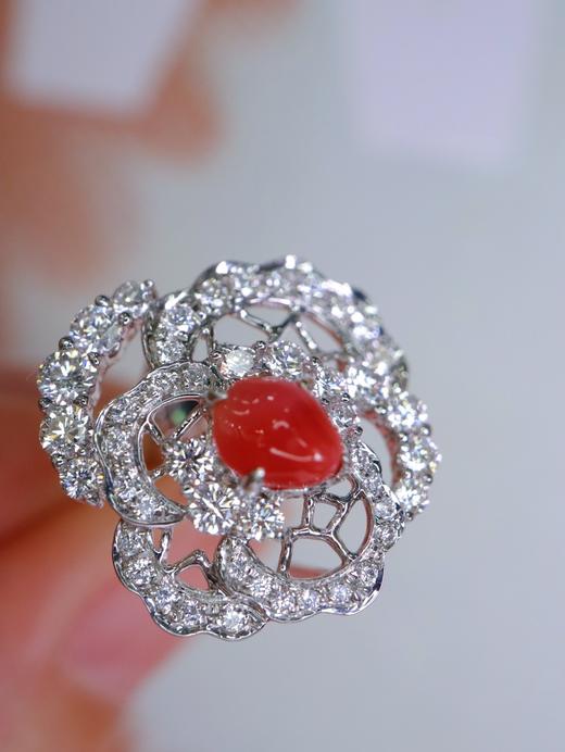 0.98ct 海螺珠耳扣 商品图3