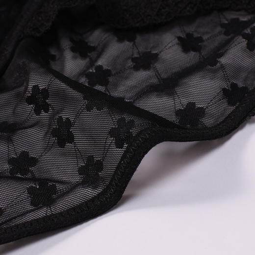 都市丽人内裤蕾丝网布三角裤蕾丝女士内裤LKT3G9 商品图5