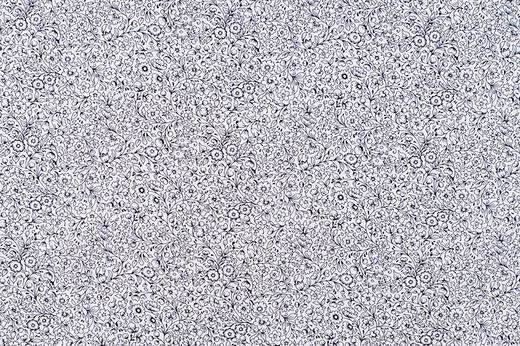 Liberty 012273644B 商品图0