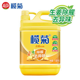 榄菊 生姜去腥洗洁精1.18kg/瓶 食品用级别 蔬果洗涤 不伤手 祛味