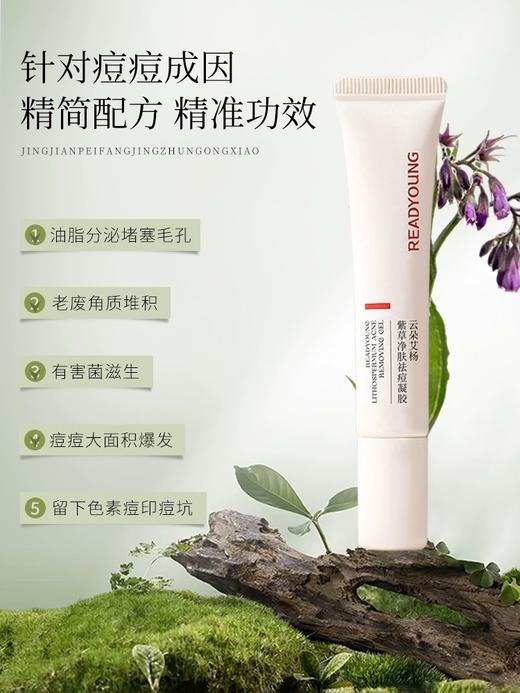 紫草净肤祛痘凝胶 15g 草本护肤 商品图2