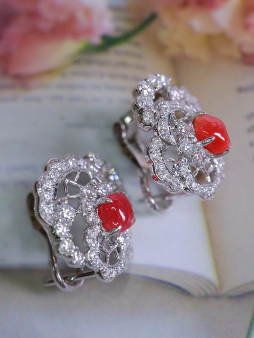 0.98ct 海螺珠耳扣 商品图0