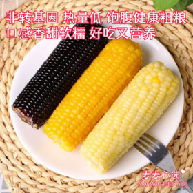 【内蒙古糯玉米】有黄白黑三种玉米可选！口感香甜软糯，好吃又营养！非转基因，热量低，饱腹的健康粗粮！农作物属于天然生长，个头大小会有不同！【NLT-J仓】