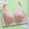 0.3CM薄款内衣大码无钢圈温感 调整型大罩杯文胸聚拢 商品缩略图6
