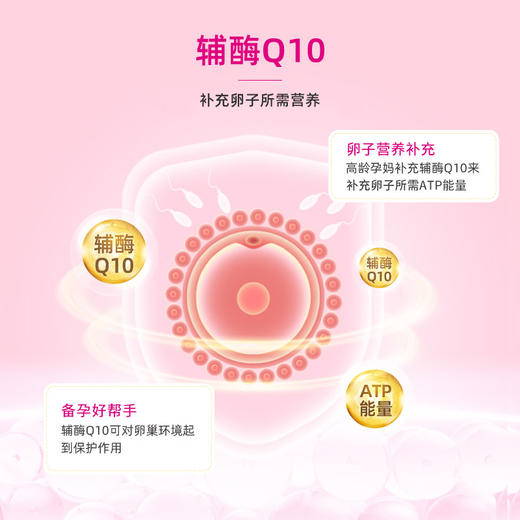 Orthomol 奥适宝 活性叶酸辅酶Q10 商品图3