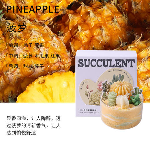 【多肉植物沙画香薰蜡烛】diy创意手工材料包 礼物伴手礼 桌面摆件送老师朋友客户家人 商品图6