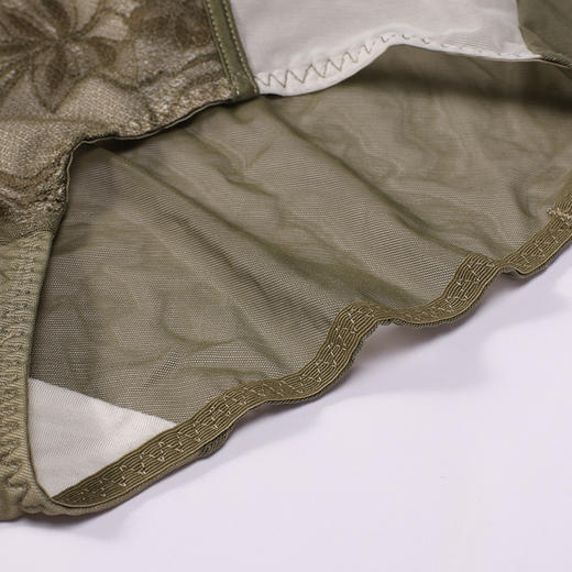 都市丽人塑身内裤舒软挺塑塑身裤双拉女士女士内裤LPT9M1 商品图7