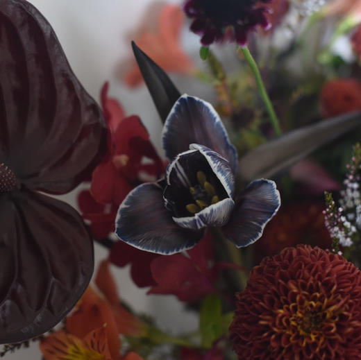 复古红高级感配色花束 商品图4