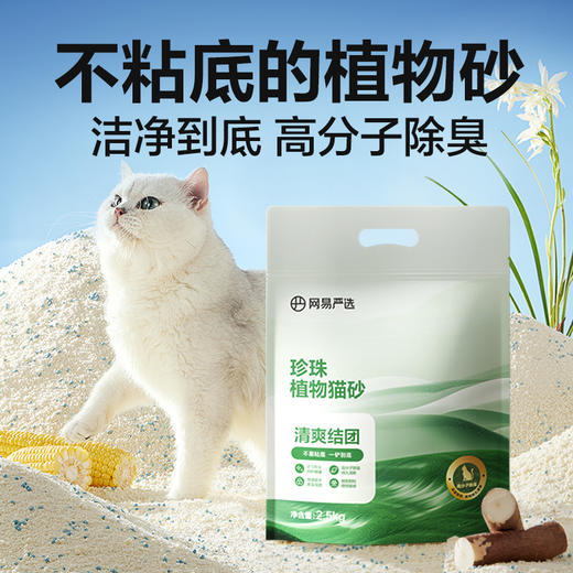 珍珠植物猫砂，一铲到底不粘底 商品图1