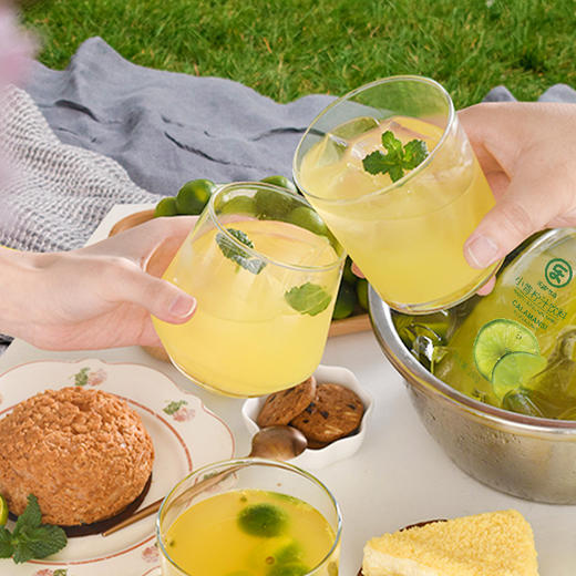 【自营】乐源 小青柠复合果汁280g*8瓶 商品图3