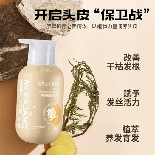 【自营】三个魔发匠老姜防脱育发控油洗发乳500ml 商品图3