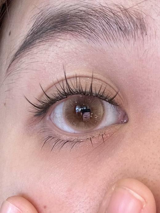 （清透色）太阳蛋菇/炫蓝蘑菇/青绿湿伞 半年抛 HUOHUOCON 商品图5