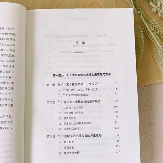 思想与方法：T.J.克拉克艺术社会史研究 商品图2