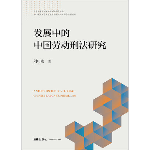 发展中的中国劳动刑法研究 刘昭陵著 法律出版社 商品图1