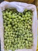 周四取货：【新疆无核白葡萄】一箱毛重5.5斤左右，  甜蜜多汁，一口一颗，甜蜜蜜！ 商品缩略图5