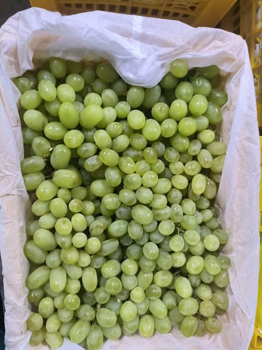 周四取货：【新疆无核白葡萄】一箱毛重5.5斤左右，  甜蜜多汁，一口一颗，甜蜜蜜！ 商品图5