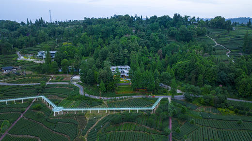 【团建优选-雅安225号民宿】¥4999=8房茶园独栋院子，景观露台、K歌、森林吊床、地暖、户外电影，露营等！csyl 商品图9